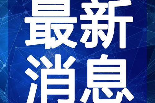 重庆爆料小哥事件视频最新,视频揭露惊人真相，网友热议不断